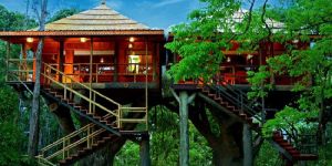 Kerala tour packages- Aspire Holidays