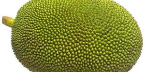 Jackfruit