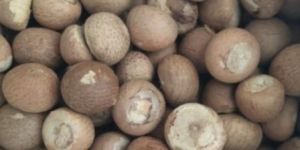 Betel Nuts