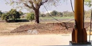 Pillar Mounted Jib Crane