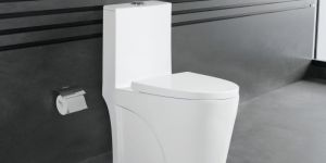 Bravo Ceramic Floor Mounted Water Closet