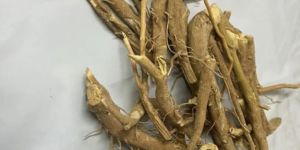 Dried Ashwagandha Mool