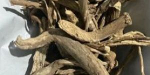 Dried Punarnava Mool