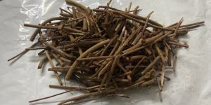 Manjistha Dried Mool