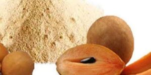 Dehydrated Chikoo Powder