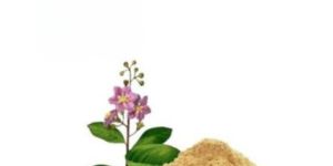 Natura Ayur Banaba Extract Powder