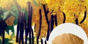 Natura Ayur Cassia Fistula Extract Powder