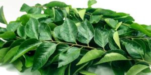 Natura Ayur Dried Curry Leaves