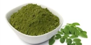 Moringa Oleifera