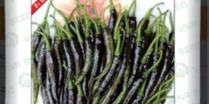 chilli krisna vnr-377 seeds