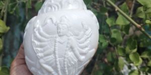 Turbinella Pyrum Lord Kali Carving Shankh