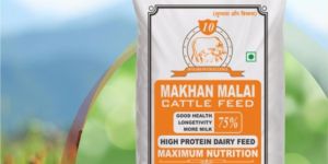 High Protein Dairy Cattle Feed