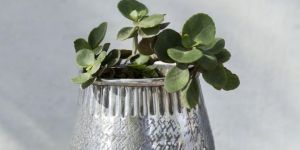 EMBOSSED VASE