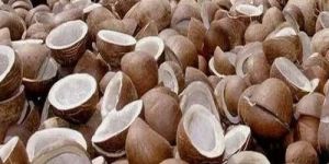 Dried Copra Coconut