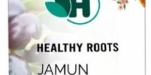 Jamun Raw Honey