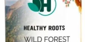 Wild Forest Raw Honey