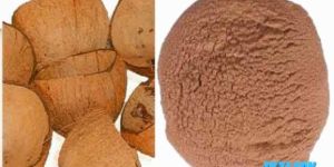 Coconut Shell Powder