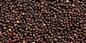 Black Pepper