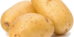 Fresh Potato