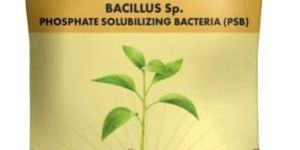 OrganicDews Phosphate Solubilizing Bacteria (PSB) Bio Inoculum Fertilizer - 1 Kg