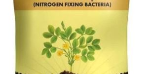 Rhizobium Nitrogen Fixing Biofertilizer Powder - 1 Kg