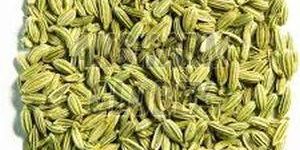 Fennel Seeds