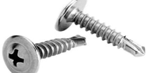 2 Inch Mild Steel Self Drilling Screw