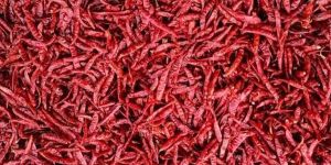 Dry Red Chilli