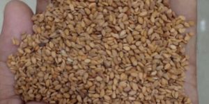 Brown Sesame Seeds