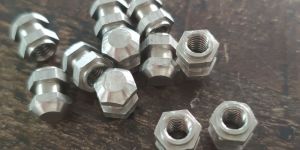 Stainless Steel Hex Nuts