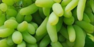 B Grade Anushka Green Grapes