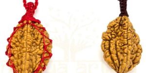 Handmade, Natural Two-faces Rudraksha Bead Hand-knotted Pendant
