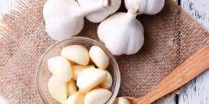 Fresh Garlic