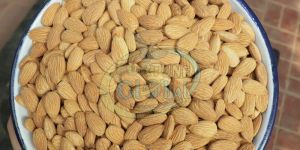 Almond Nuts