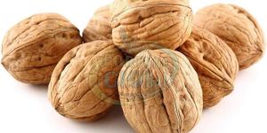 Brown Inshell Walnuts
