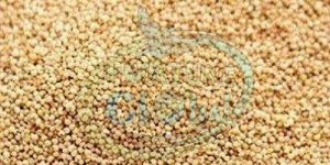 Brown Poppy Seeds