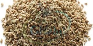 Carom Seeds