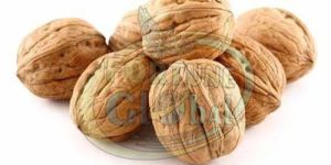 Kashmiri in Shell Walnuts