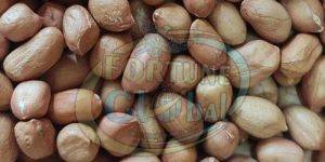 Peanut Groundnut Seeds