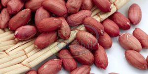 Red Skin Bold Peanut