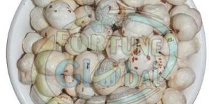 Sasvika 4 Suta Makhana