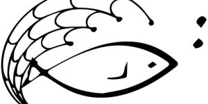 Mono Filament Fishing Nets