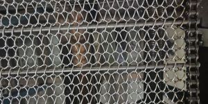 Mild Steel Conveyor Belt