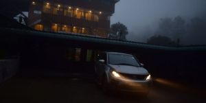 Arabica Coffee Beans