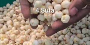 4 Suta Makhana