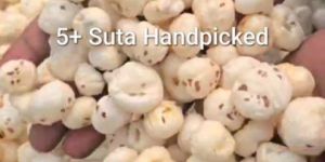 5 Plus Suta Makhana