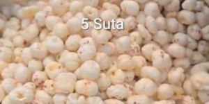 5 Suta Makhana