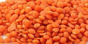 Red Lentil