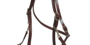 Horse Bridle
