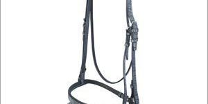 Leather English Bridle